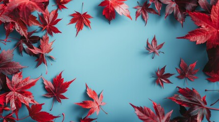 Wall Mural - Wallpaper features maple leaves arranged with space for letters, on a blue background.