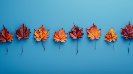 Wall Mural - Wallpaper features maple leaves arranged with space for letters, on a blue background.