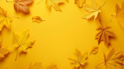 Wall Mural - The wallpaper features maple leaves arranged with space for letters, on a yellow background.