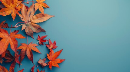 Wall Mural - Wallpaper features maple leaves arranged with space for letters, on a blue background.