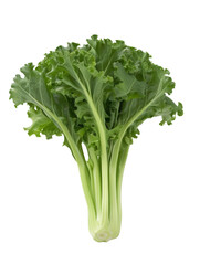 Chinese kale, green vegetables on transparent background