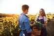 © Stratford/peopleimages.com - Agriculture, farming and growth with people in field to harvest organic produce in season. Crate, sustainability and vegetation with farmer couple outdoor in countryside for agro or agribusiness