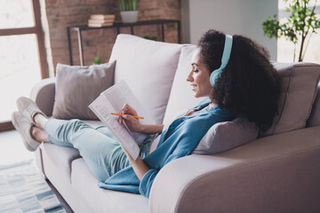 Sticker - Photo of pretty nice charming woman wear trendy shirt sofa comfort room write plan homework indoors