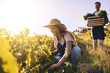 © Stratford/peopleimages.com - Agriculture, farm and couple with produce, natural vegetables and organic food in green field. Sustainability, agribusiness and people with crate for eco friendly, gardening and crop harvesting