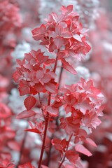 Sticker - A close up of a red flower with white leaves