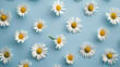 © Anna - Chamomile flowers floating in blue liquid.