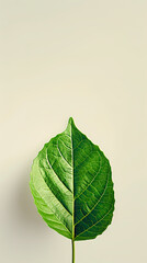 Canvas Print - Green leaves illustration