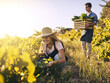 © Stratford/peopleimages.com - Agriculture, farmer and couple with vegetables, natural produce and organic food in green field. Sustainability, agribusiness and man with crate for eco friendly, gardening and crop harvesting