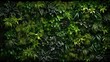 © Muzamil - Green wall vertical garden friendly green nature.