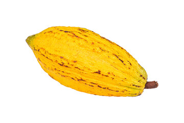 Wall Mural - cacao fruit isolated on white background with transparent.