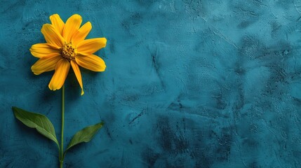 Wall Mural - Yellow flower on blue backdrop with room for text