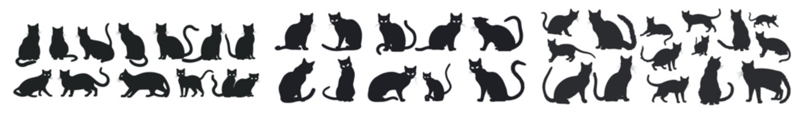 Funny fluffy domestic cats in various poses and positions. Modern cartoon cats isolated set. Black cat poses.