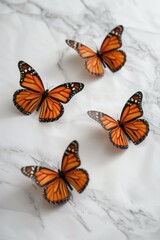 Wall Mural - Close-up of a group of orange butterflies perched on a table