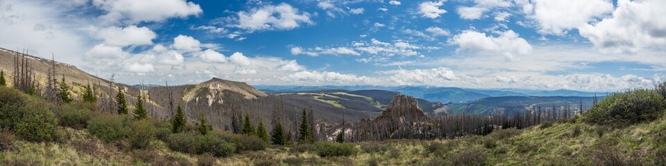 Wall Mural - Mountain tundra forest with ancient volcanic ash mounds