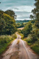 Canvas Print - A dirt road stretching across a green field, with grass and wildflowers surrounding it