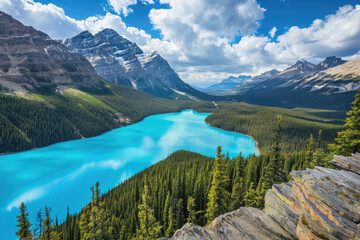Wall Mural - Stunning turquoise waters of Peyto Lake with forested mountains, Canada