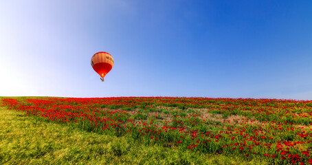 Wall Mural - hot balloon in the sky