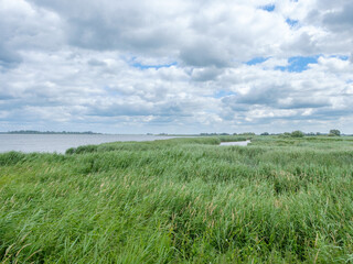 Sticker - Nature reserve Mandjeswaard, Kampen, Overijssel province, The Netherlands