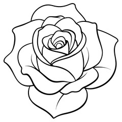 Wall Mural - white rose isolated on white