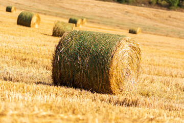 Canvas Print - bale of straw