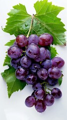 Wall Mural - Fresh bunch of purple grapes with water droplets on green vine leaf, close-up. Healthy eating and organic fruits concept