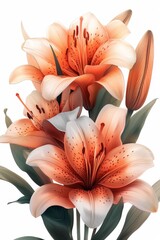 Wall Mural - Elegant Abstract Orange Lilies Picture Frame