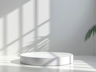 Wall Mural - abstract white round stand for product presentation on white background, empty room with shadows on 