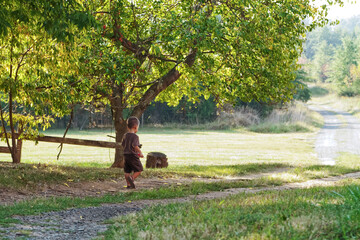 Little boy walking on gravel road