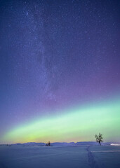 night sky and stars