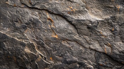 Wall Mural - Close up of textured stone background