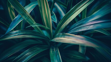 Green tropical plant close-up