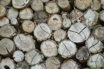 Poster - Holzstapel, Brennholz, Holzvorrat