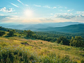 Wall Mural - A lush green field with wildflowers and a stunning mountain backdrop. AI.