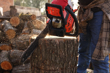 Wall Mural - Man sawing wooden log outdoors, closeup view