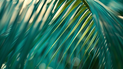 Green tropical plant close-up