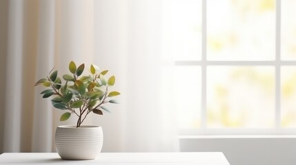 Wall Mural - Green Plant in White Pot Against a Window