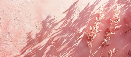 Canvas Print - Delicate grass and flower shadows creating an abstract diagonal pattern on a solid pink wall texture, representing a trendy nature-inspired concept with copy space for text overlay, poster mockup,