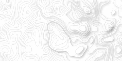 Wall Mural - White and black Topographic contour lines. Seamless pattern with lines Topographic map. Geographic mountain relief diagram line wave carve pattern.