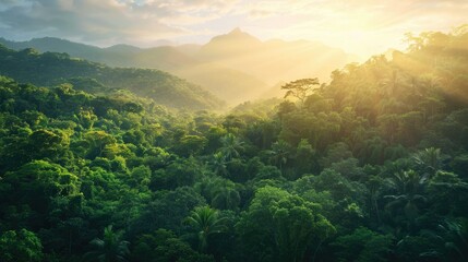 Sunrise over a tropical mountain forest, capturing the lush green trees and serene landscape