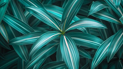 Green tropical plant close-up