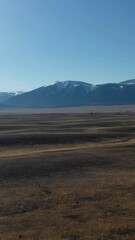 Wall Mural - Vertical aerial video panorama from drone of Kurai valley with the Great Ripple in Altai - the bottom of the relict lake. In the background is the Severo-Chuisky mountain range.