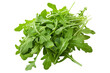 © Vasyl Onyskiv - Bunch of fresh green arugula leaves isolated on a white background.