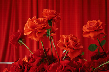 Wall Mural - Red roses against red curtains