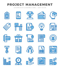 Project Management elements. Two Color web icon set. Simple vector illustration.