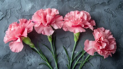 Poster - Pink carnations on grey background