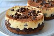 © ylivdesign - Chocolate chip cheesecake sprinkled with cocoa powder is sitting on white plate