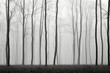 © Sidewaypics - Foggy Forest Material Structure Background - Generative AI