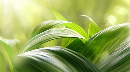 Abstract natural floral Green tropical plant close-up background