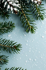 Sticker - A snow covered pine tree branch with delicate snowflakes creating an elegant winter themed border watercolour illustration 