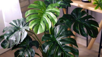 Sticker - Monstera Giant Fake Leaf with Large Dark Green Leaves Suitable for Indoor Planters